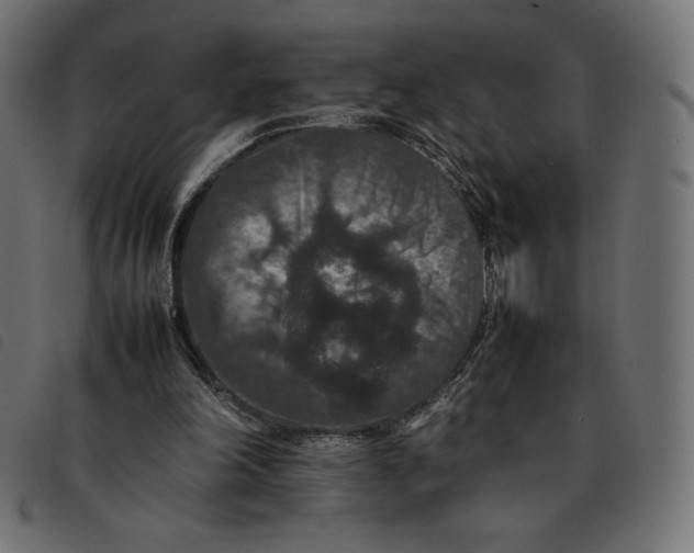 X0000092250198200710121306