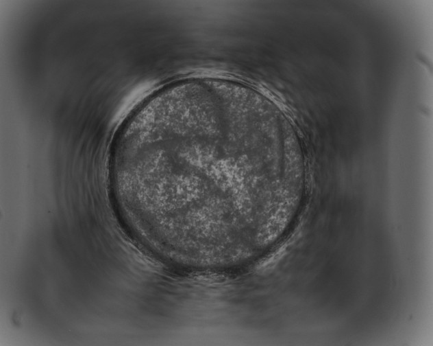 X0000092250199200710121306