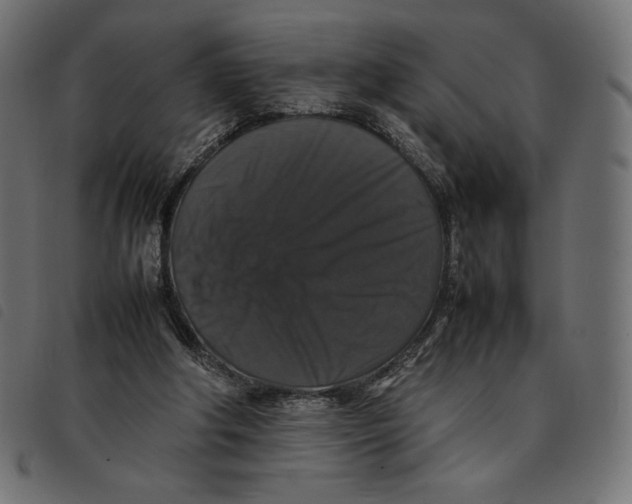 X0000092250202200710121306