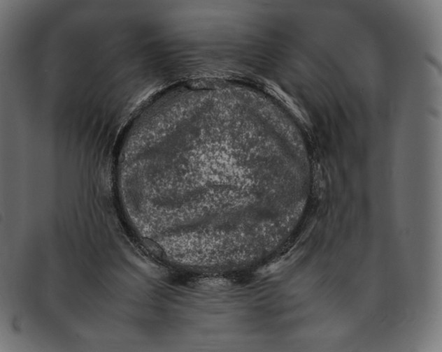 X0000092250203200710121306