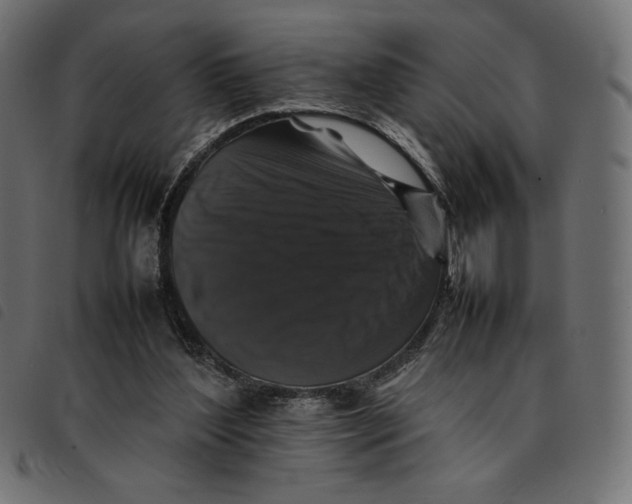 X0000092250204200710121306