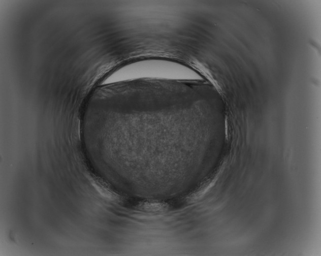 X0000092250205200710121306
