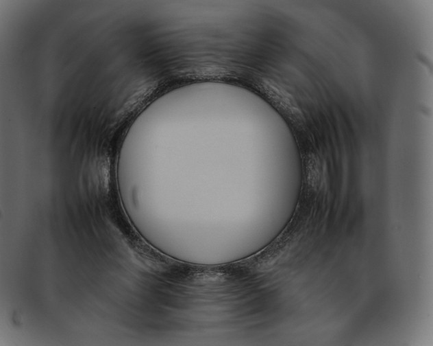 X0000092250206200710121306