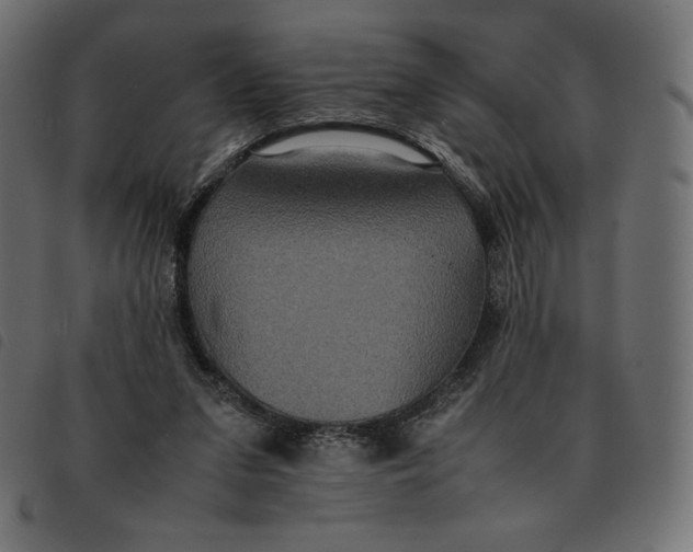 X0000092250207200710121306