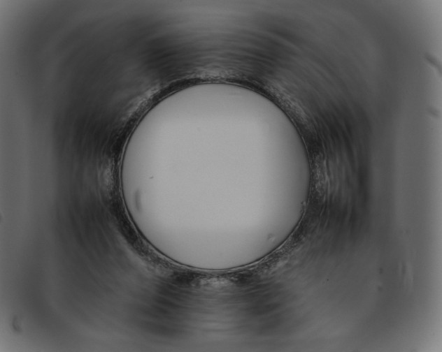 X0000092250208200710121306
