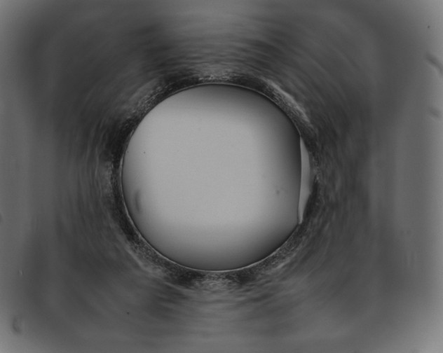 X0000092250209200710121306