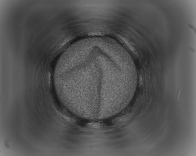X0000092250211200710121306