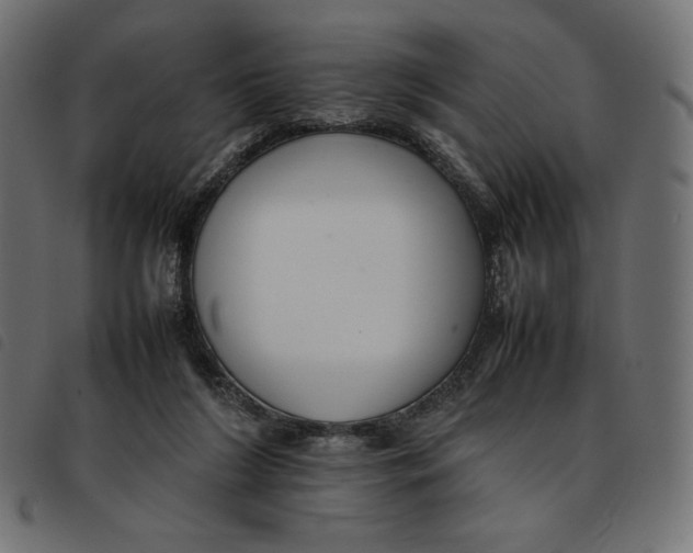 X0000092250212200710121306