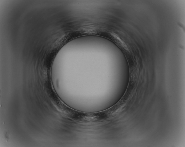 X0000092250213200710121306