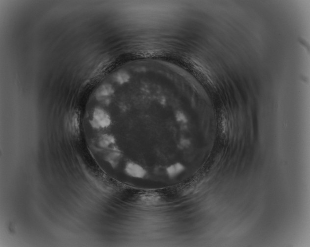 X0000092250214200710121306