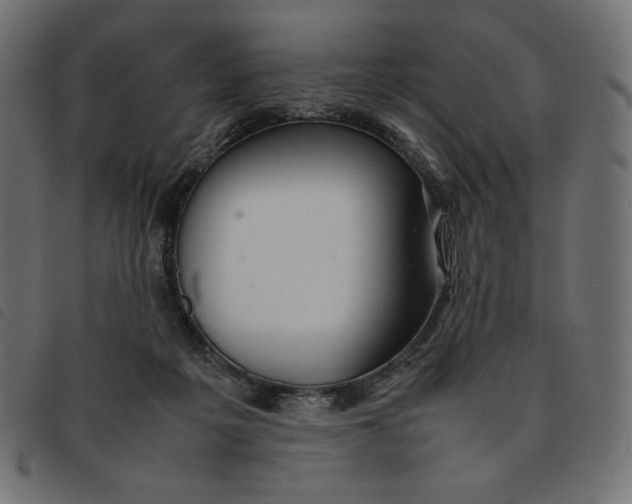 X0000092250217200710121306