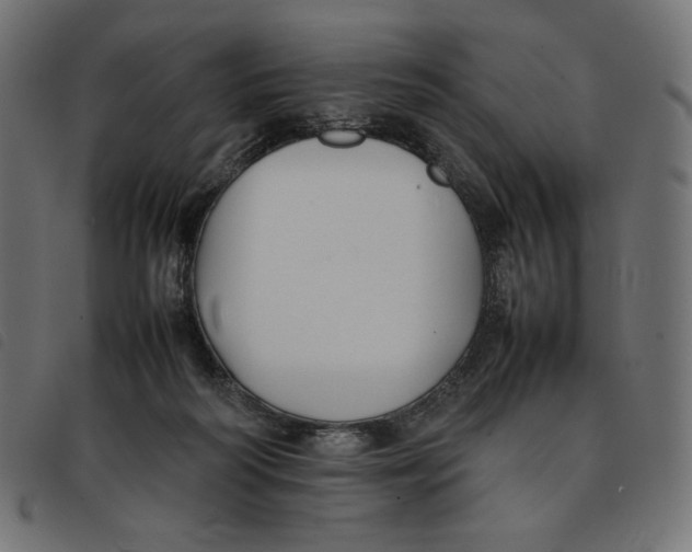 X0000092250218200710121306