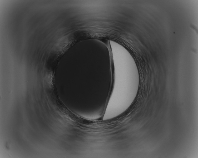 X0000092250219200710121306