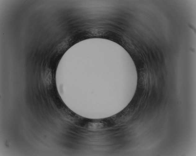X0000092250220200710121306