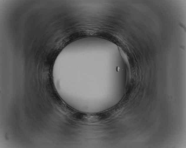 X0000092250221200710121306
