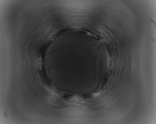 X0000092250223200710121306