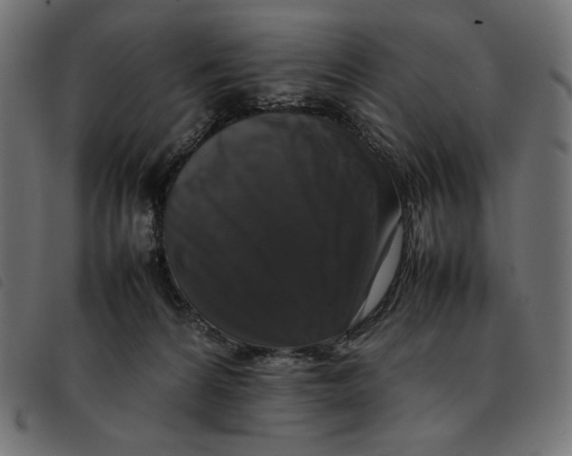 X0000092250224200710121306