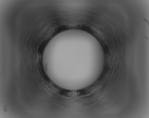 X0000092250225200710121306