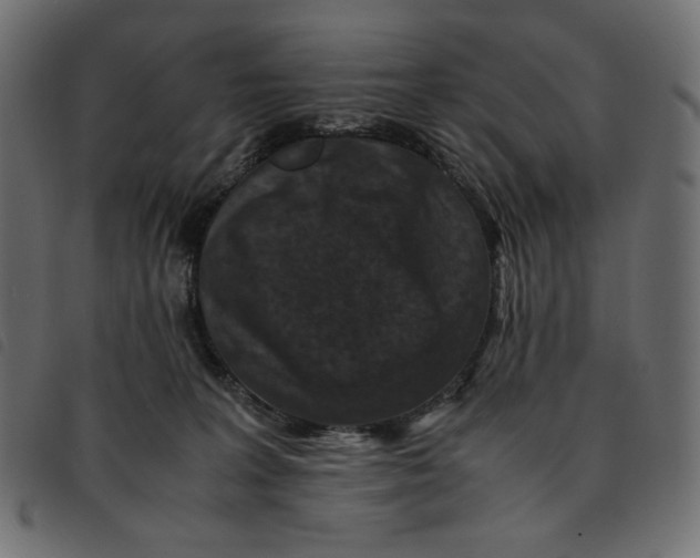 X0000092250227200710121306
