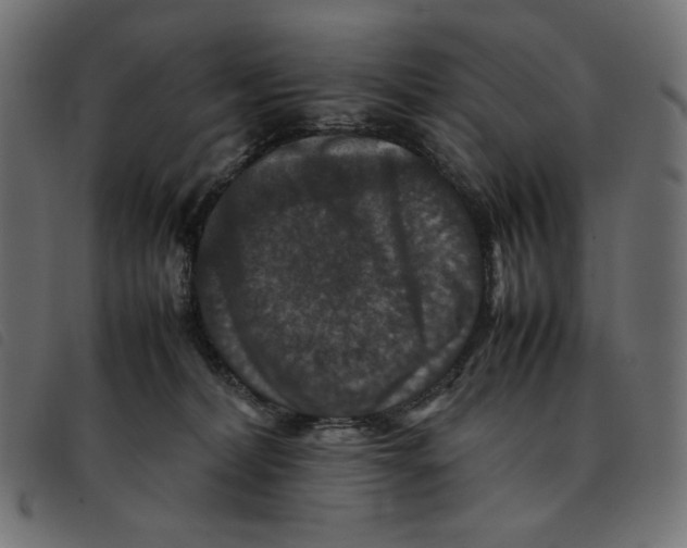 X0000092250228200710121306