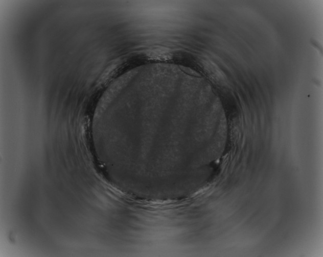 X0000092250229200710121306
