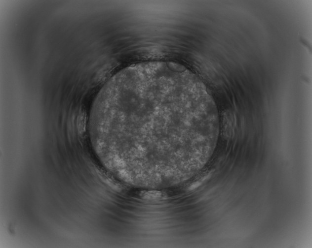 X0000092250230200710121306