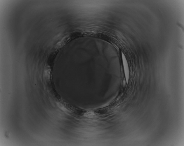 X0000092250231200710121306