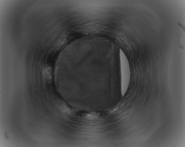 X0000092250232200710121306