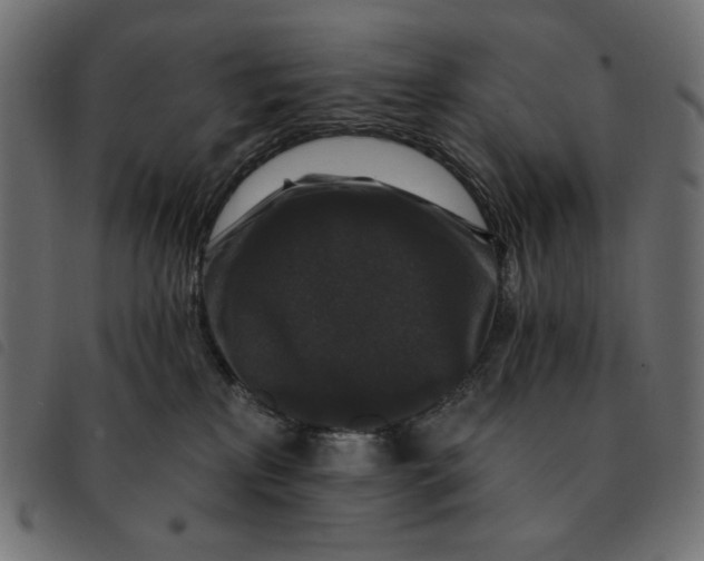 X0000092250233200710121306