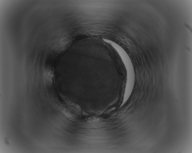 X0000092250235200710121306