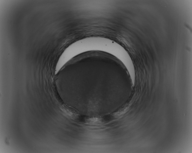 X0000092250237200710121305