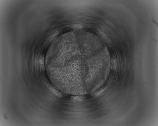 X0000092250238200710121305