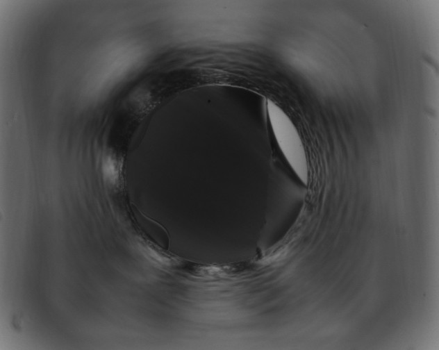X0000092250239200710121305