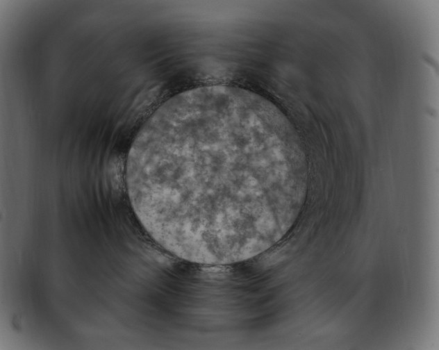 X0000092250240200710121305