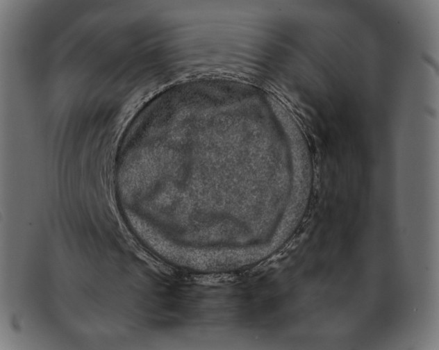 X0000092250241200710121305
