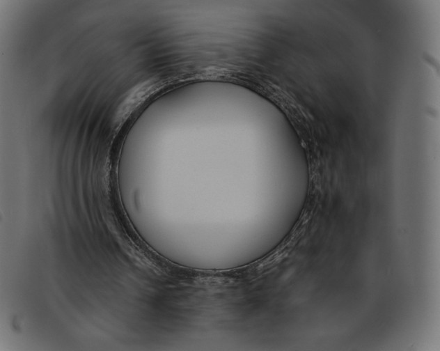 X0000092250242200710121305