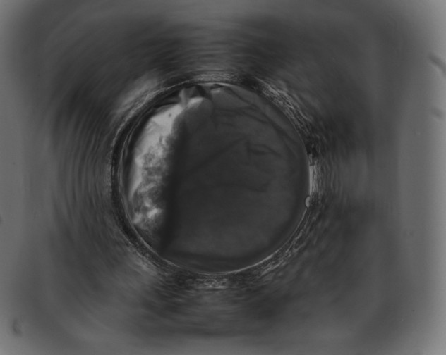 X0000092250243200710121305