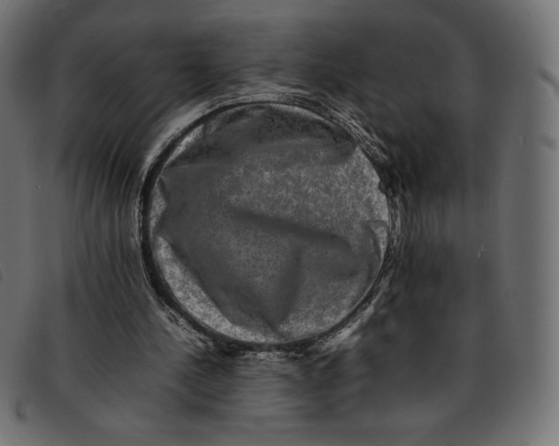 X0000092250244200710121305