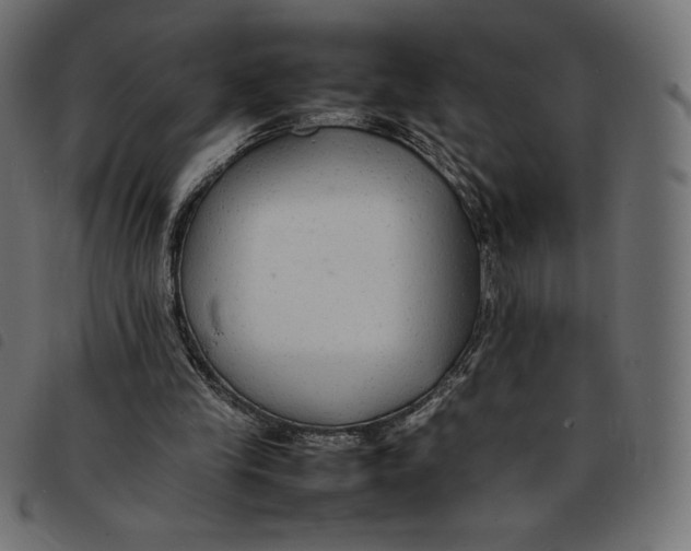 X0000092250245200710121305