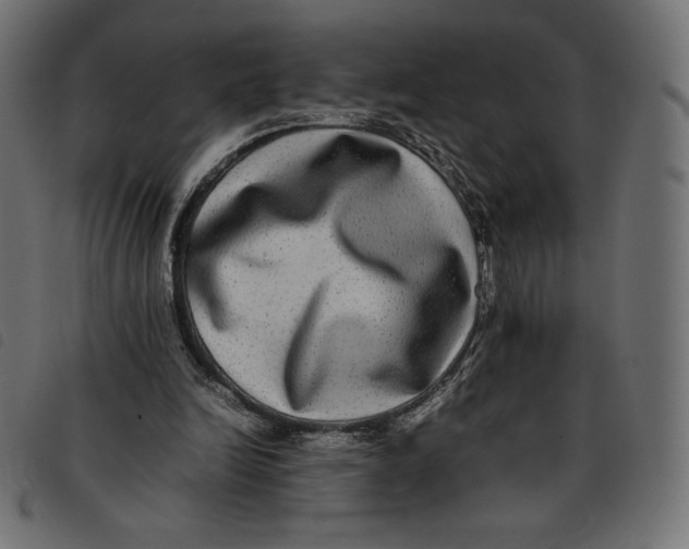 X0000092250246200710121305