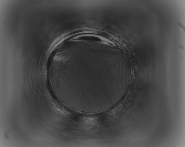 X0000092250247200710121305