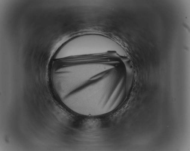 X0000092250248200710121305