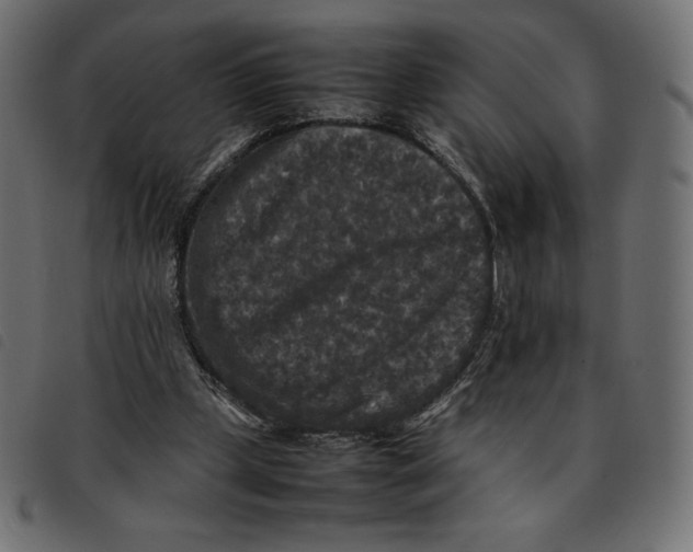 X0000092250249200710121305
