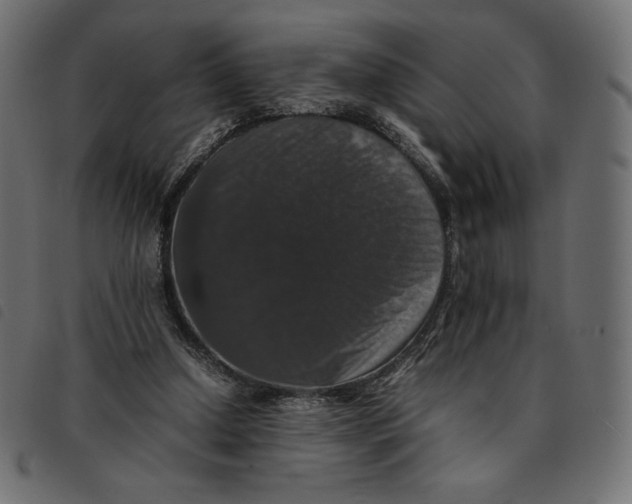 X0000092250250200710121305