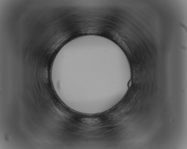 X0000092250251200710121305