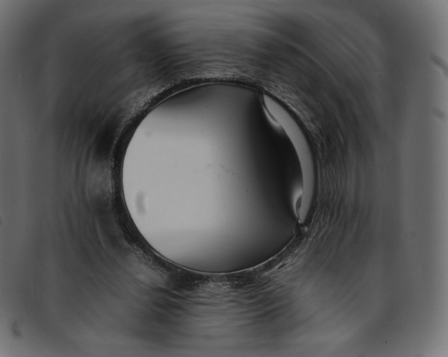 X0000092250252200710121305