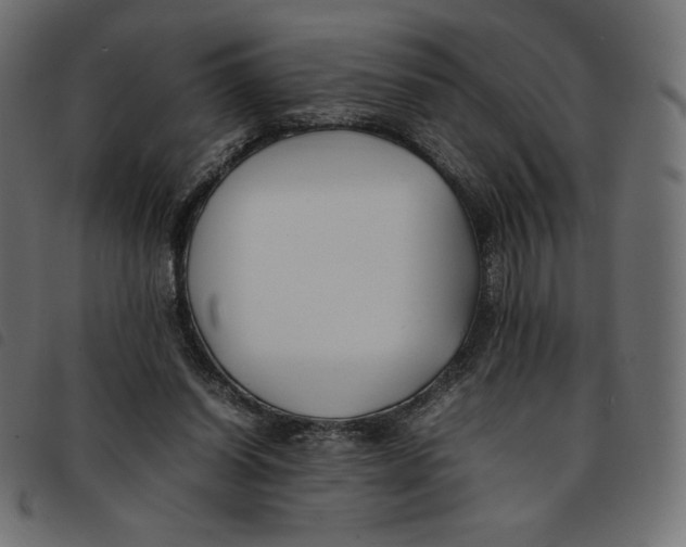 X0000092250254200710121305