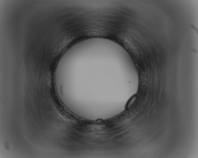 X0000092250255200710121305