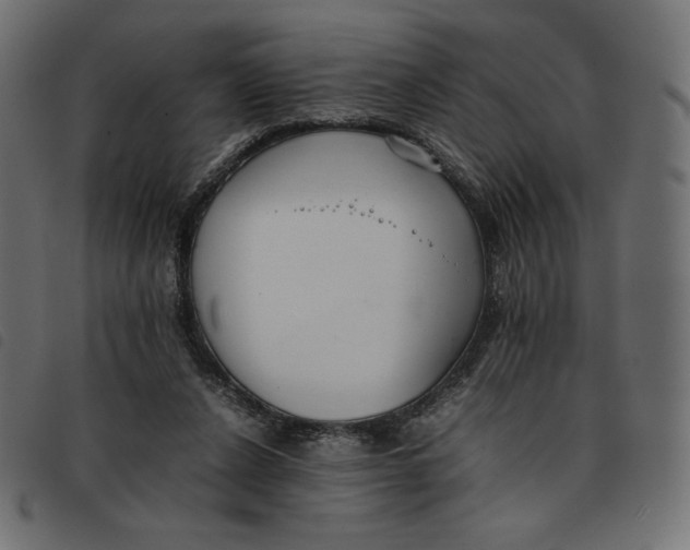 X0000092250256200710121305