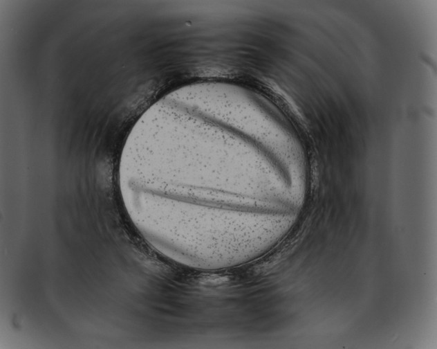X0000092250257200710121305